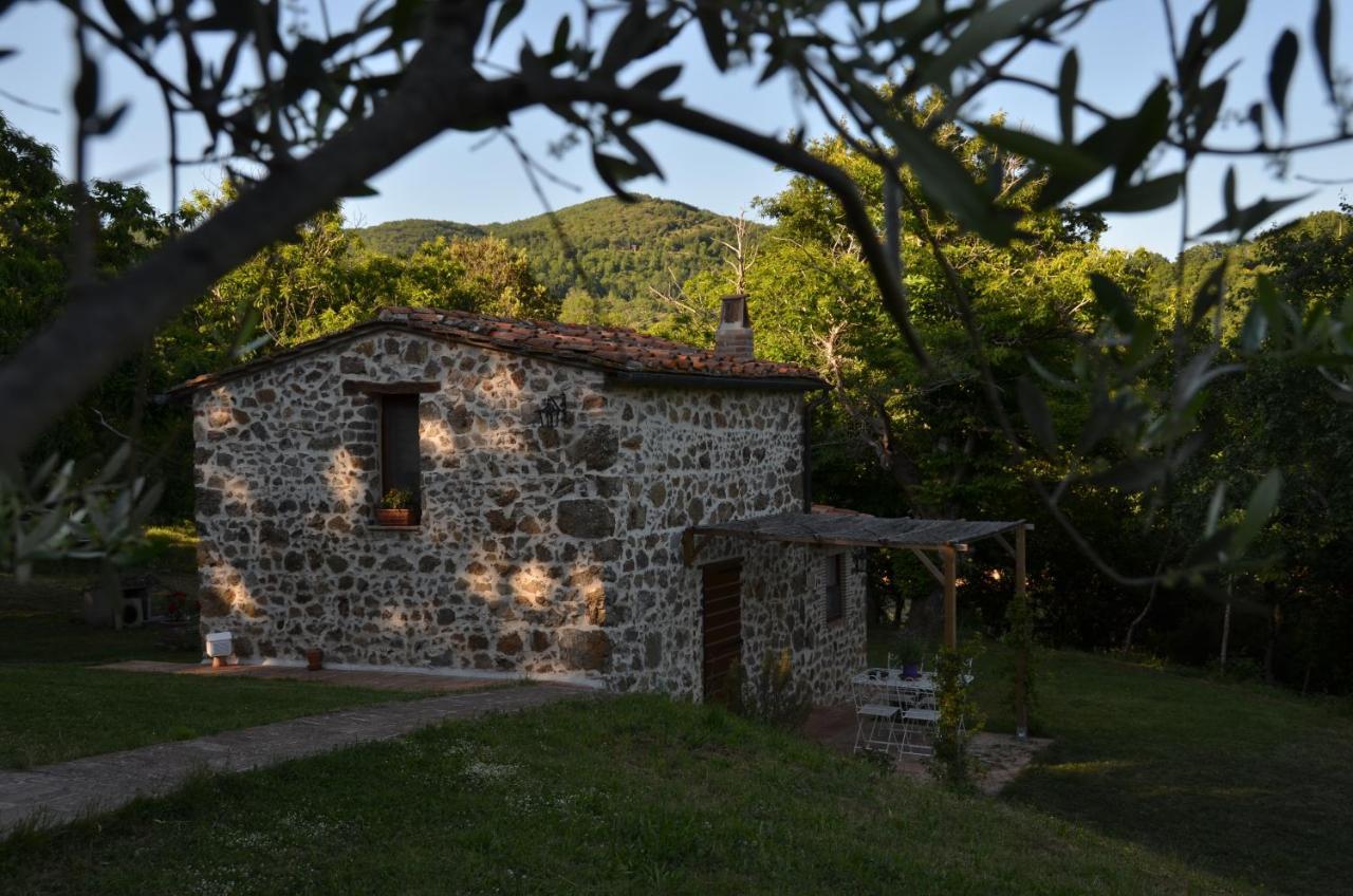 Il Venaio Bed & Breakfast Massa Marittima Bagian luar foto