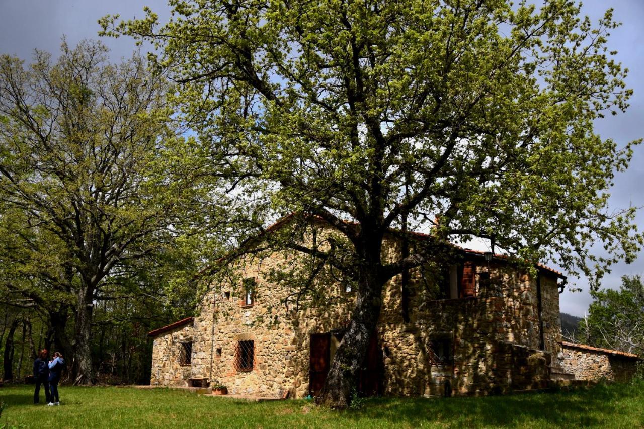 Il Venaio Bed & Breakfast Massa Marittima Bagian luar foto