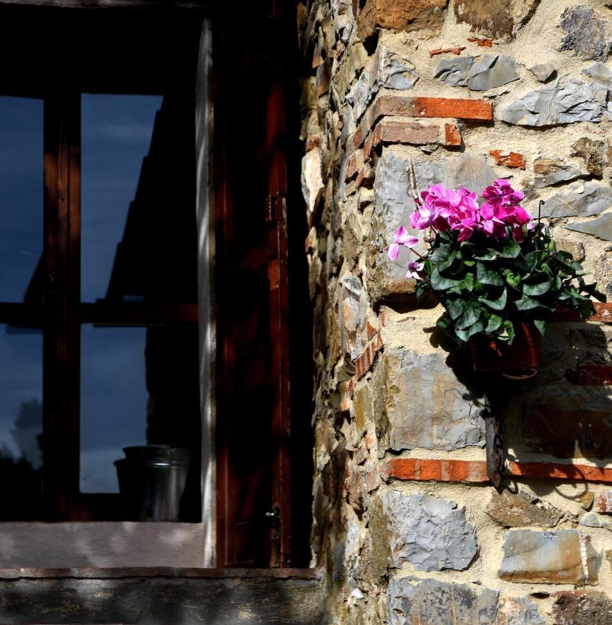 Il Venaio Bed & Breakfast Massa Marittima Bagian luar foto