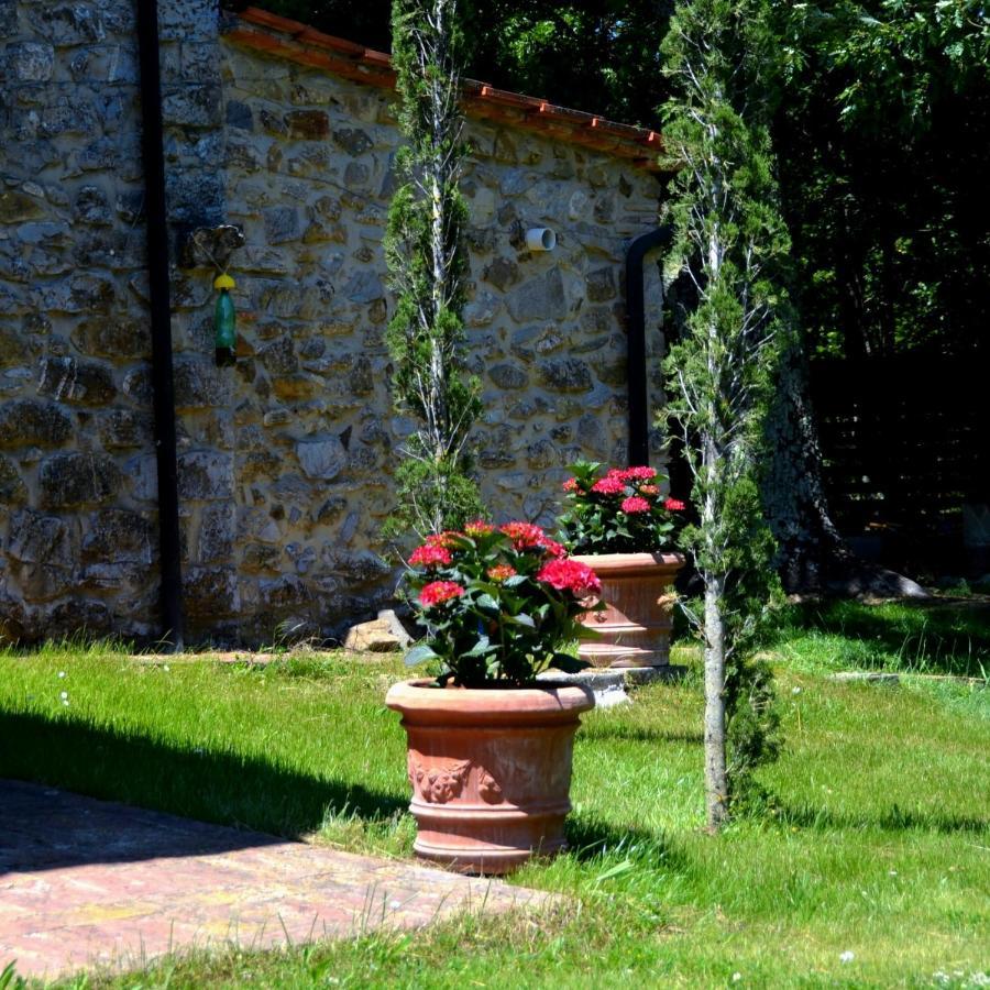 Il Venaio Bed & Breakfast Massa Marittima Bagian luar foto