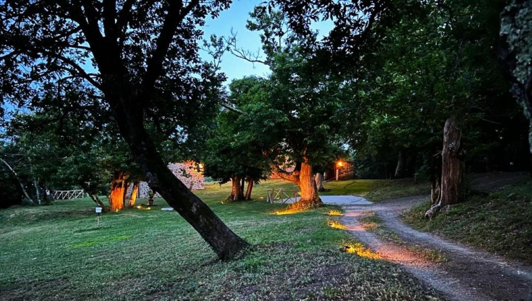 Il Venaio Bed & Breakfast Massa Marittima Bagian luar foto