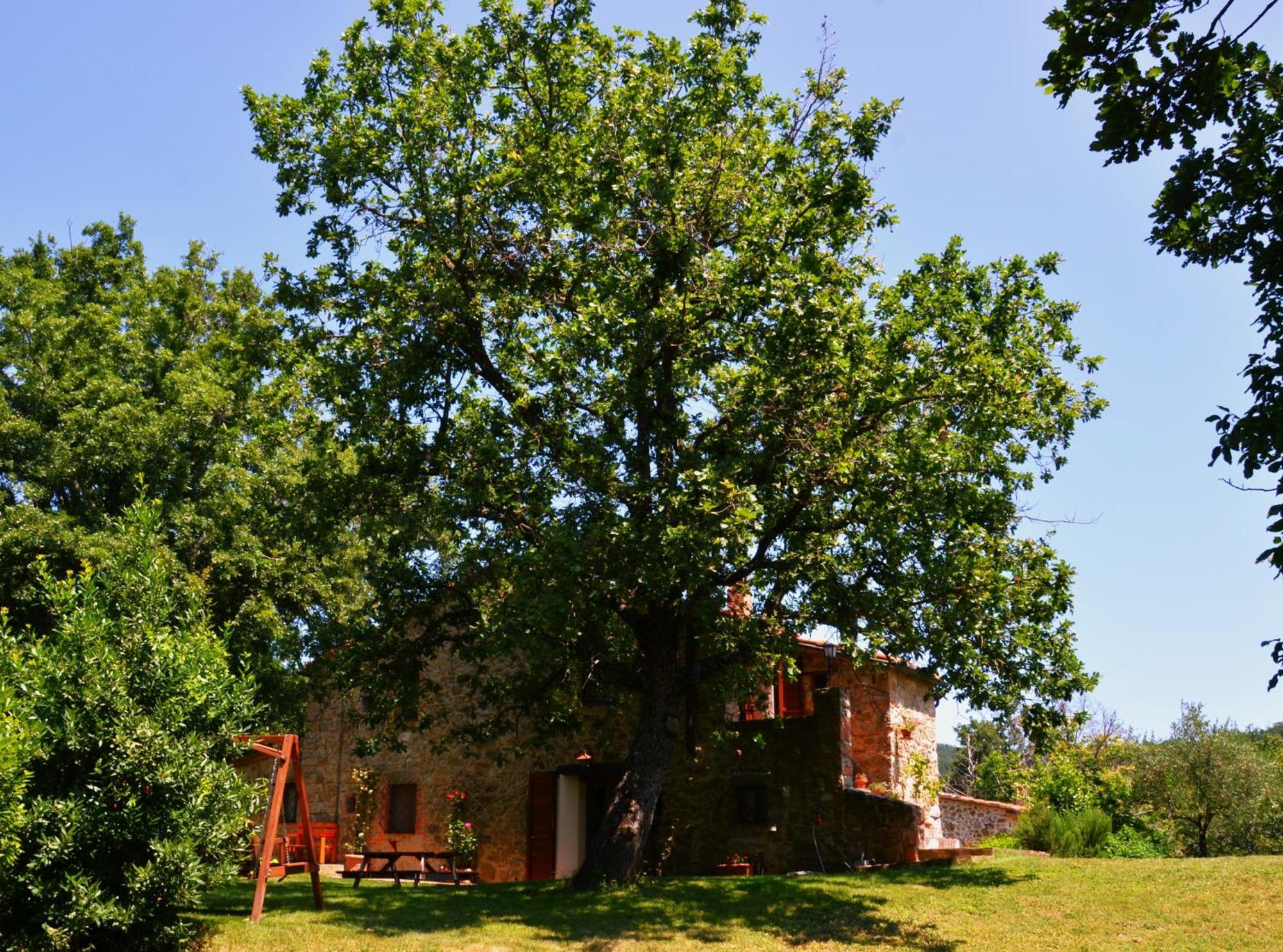 Il Venaio Bed & Breakfast Massa Marittima Bagian luar foto