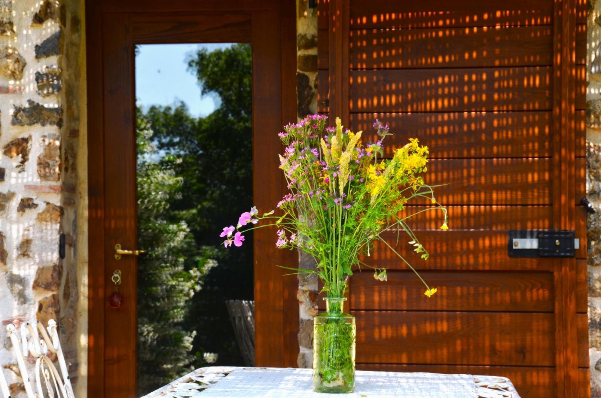 Il Venaio Bed & Breakfast Massa Marittima Bagian luar foto